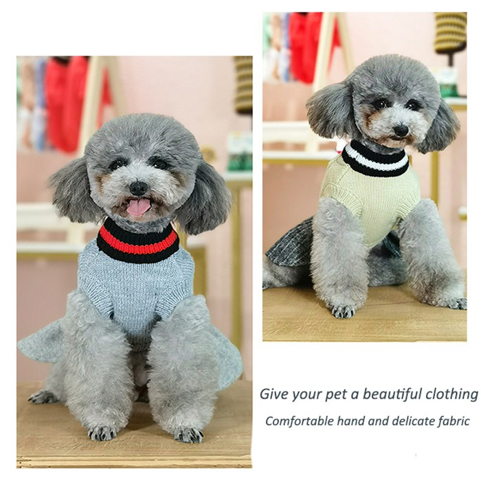 Fashionable dog clothes