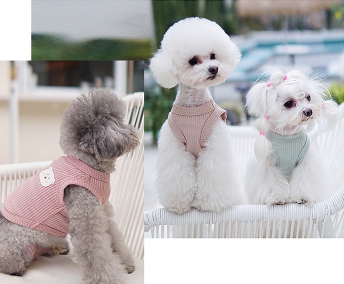 pet cat gold crown cotton vest clothes pet cat gold crown cotton vest clothes