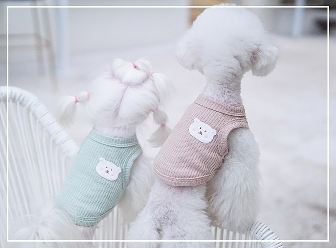 summer dog cat t - shirt summer dog cat t - shirt