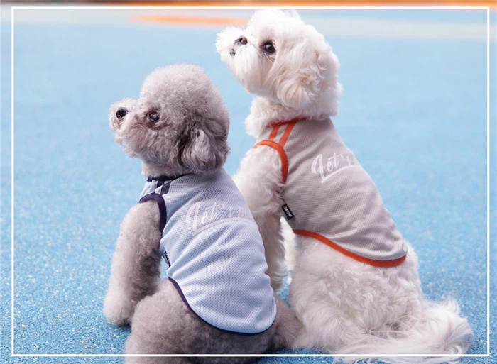 O1CN012eLp8e1oJTs31SNV3_!!935235204-0-cib