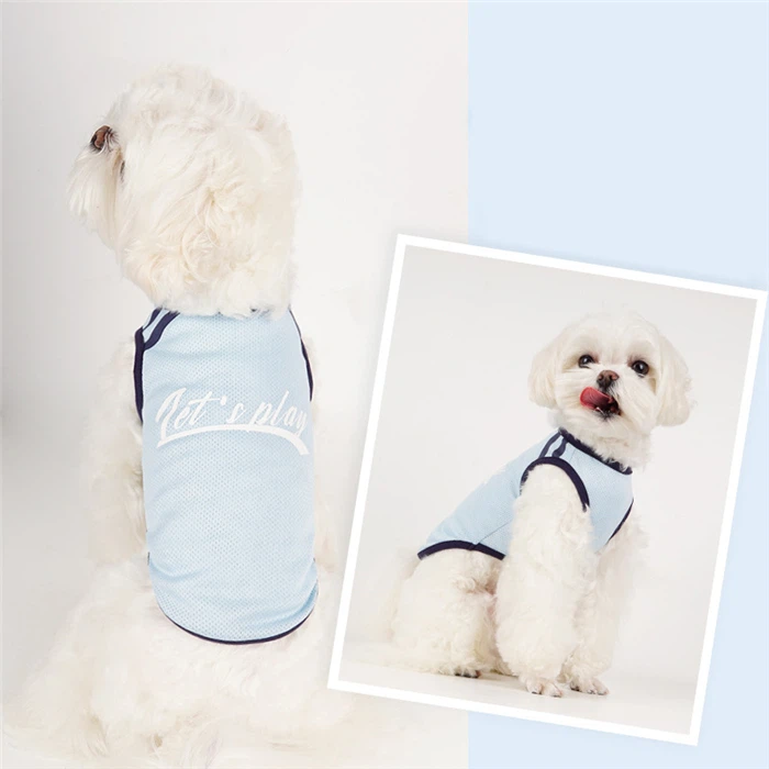 O1CN01o5FBPD1oJTrvbbijf_!!935235204-0-cib