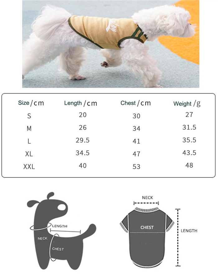 O1CN010ZT6GT1oJTrvbtEy4_!!935235204-0-cib