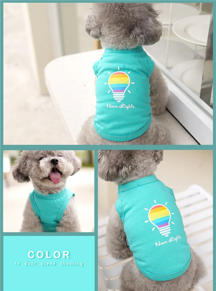 pet accessories